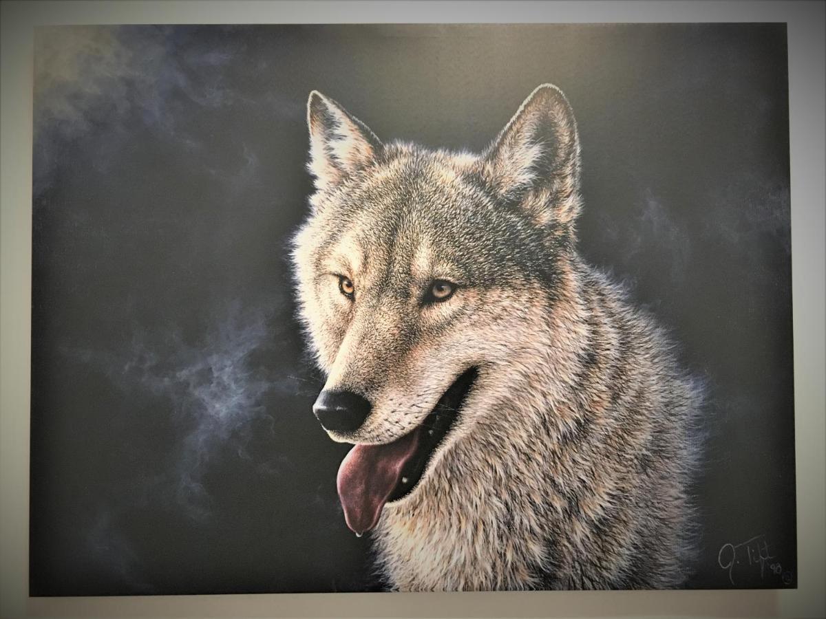 Apartment White Wolf