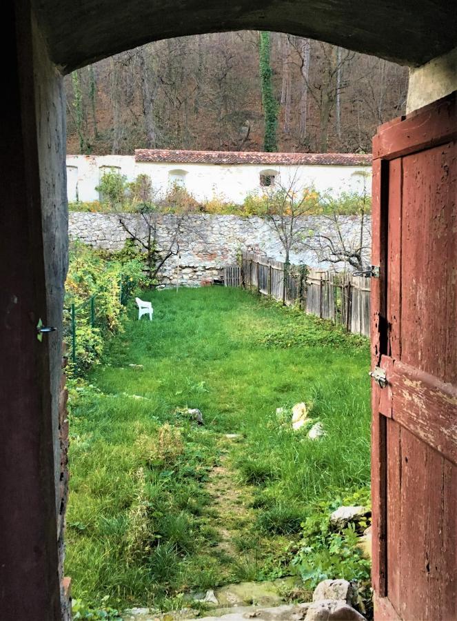 White Wolf Apartment *